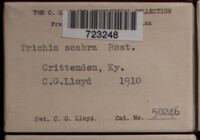 Image Associated With the Occurence